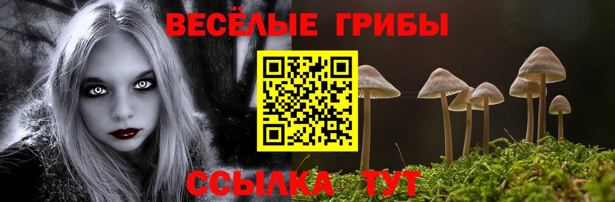 Зеленокумск  Псилоцибиновые грибы GOLDEN TEACHER  Галлюциногенные грибы Psilocybine cubensis  Вход с VPN 